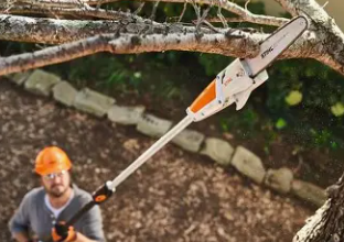 Pole Saw 8"